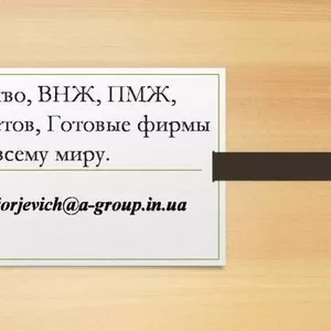 Оказываем надежное содействие в законном оформлении РВП,  ВНЖ и граждан