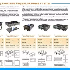 Предлагаем индукционные плиты