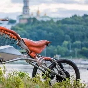 Электротрайк Ecotrike - лучшая цена