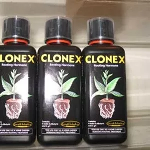 Clonex gel для укоренения