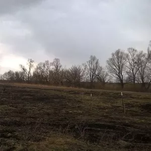 Участок 12 соток с. Погребы Броварской р-н 