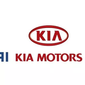 Запчасти KIA/HYUNDAI со склада в Киеве!!!