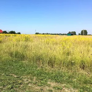 Приватна земельна ділянка 18 соток