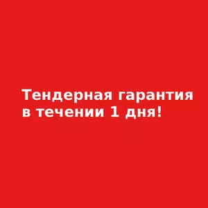 Тендерная гарантия без обеспечения в течении 1 дня