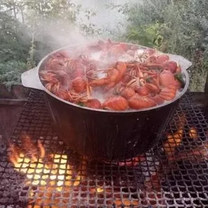 Раки Опт Розница живые и вареные мелкий средний крупный от поставщика