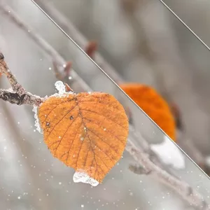 Срочная аренда,  сдам на любой