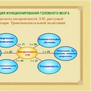 Обучение Трансцендентальной медитации эффективно