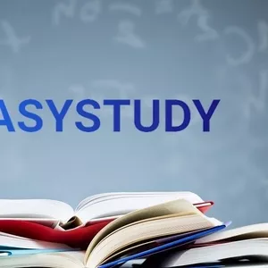 Заказать эссе в EasyStudy