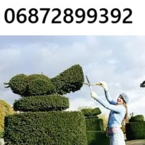 Декоративна стрижка туй — надаємо саду ідеальної форми!