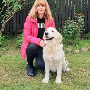 Цуценята золотистого ретрівера Ot Bahur