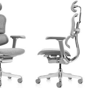 Надежное кресло Ergohuman Luxury 2 Серый с доставкой