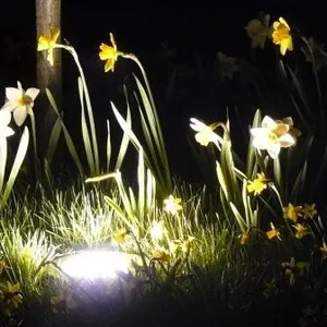 Ландшафтный дизайн,  электромонтажные работы и освещение 