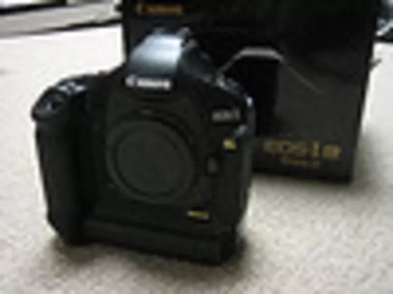 Canon EOS-1D MARK-IV with TS-E 24mm f/3.5L II Tilt-Shift Lens