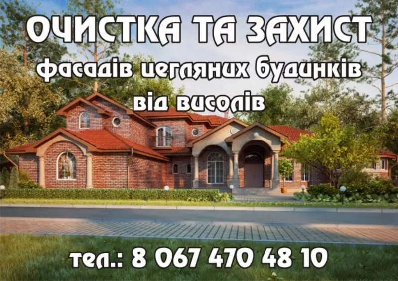 очистка та захист фасадів від висолів