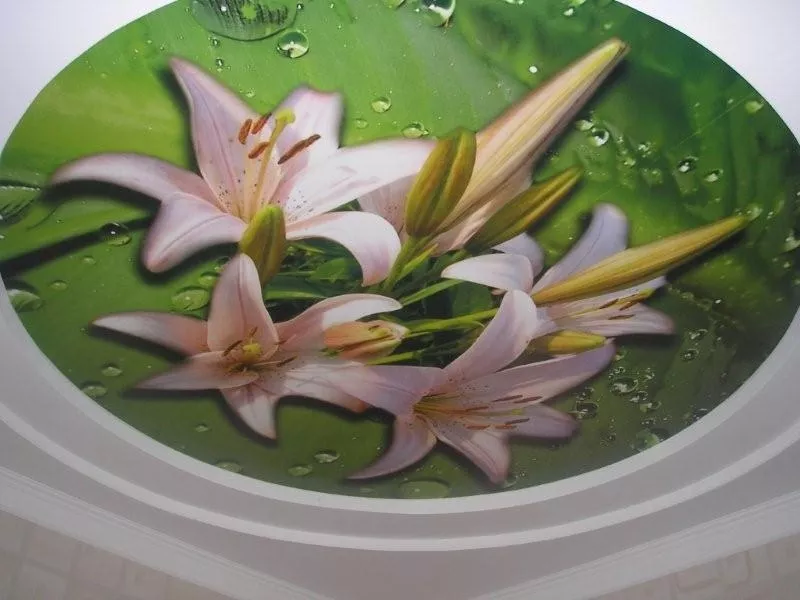 Натяжной потолок - решение многих проблем 5