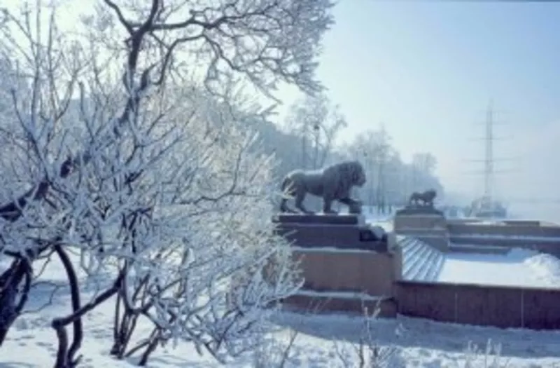 петербург тур новый год,  экскурсия петербург,  поездка питер,  тур пите 