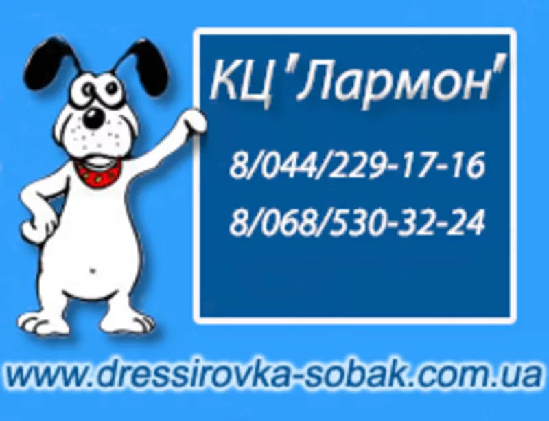 Дрессировка собак с заботой и любовью (Киев) 