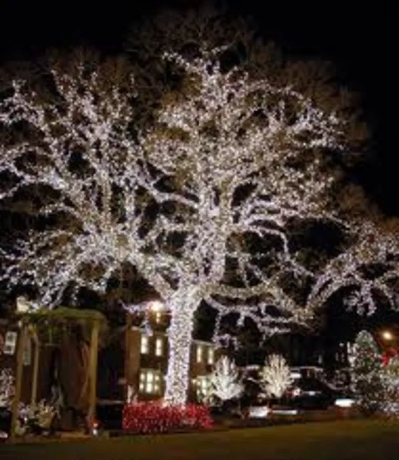 Светодиодная подсветка фасадов,  деревьев и улиц