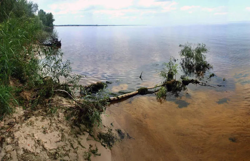 Большой участок у воды (пляж 233 м) для Вашей усадьбы 2