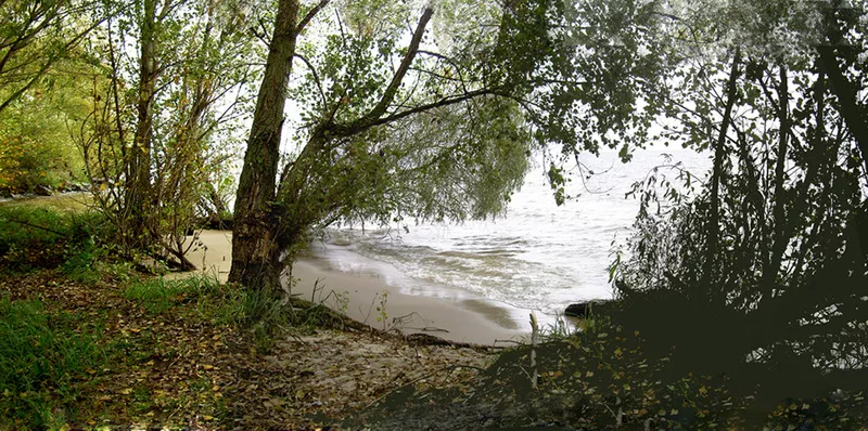 Большой участок у воды (пляж 233 м) для Вашей усадьбы 9