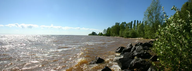 Большой участок у воды (пляж 233 м) для Вашей усадьбы