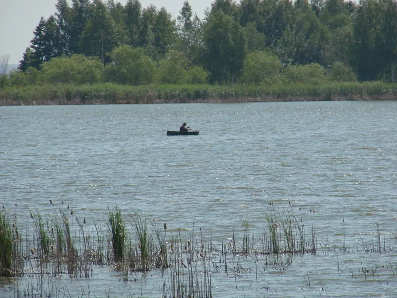 Рыбалка в Толокуне 2