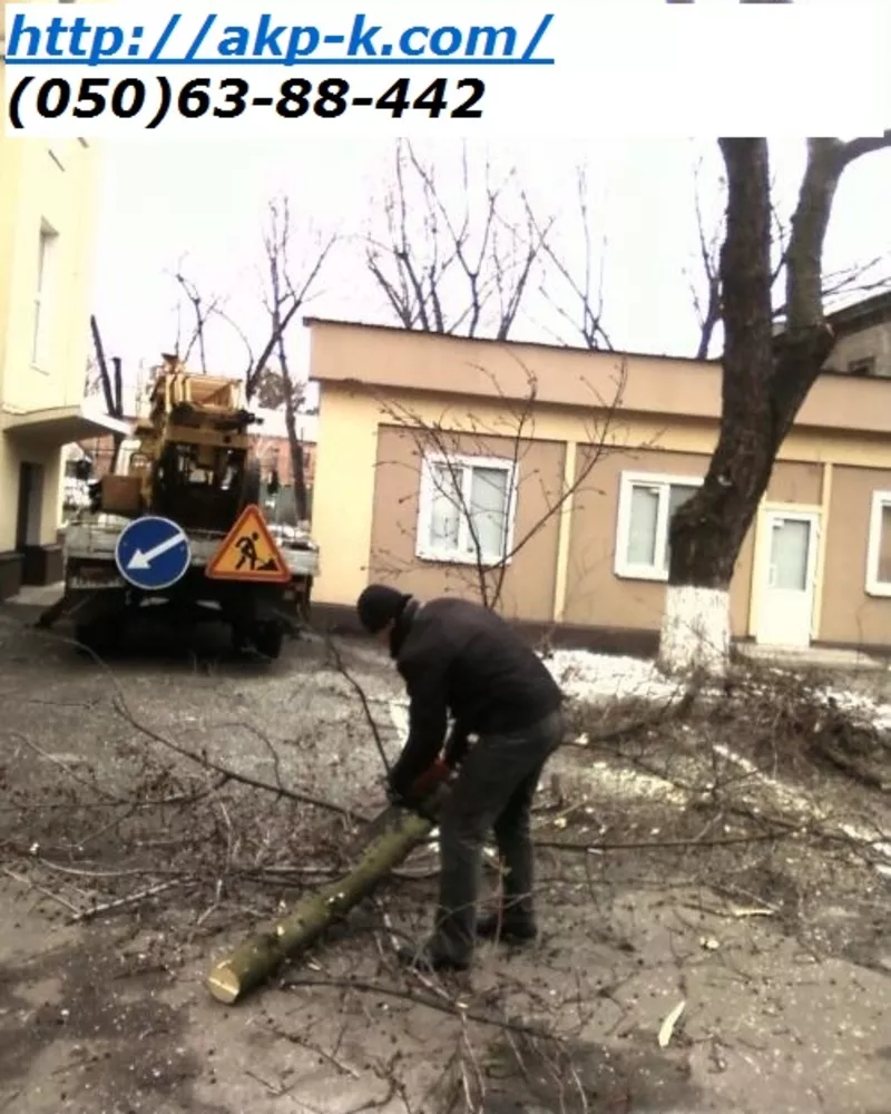 Спилить дерево Киев Удаление деревьев