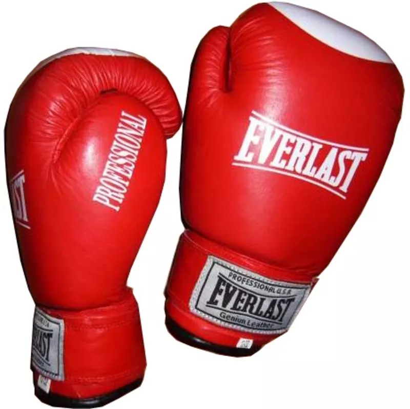 Боксёрские перчатки Everlast,  World Sport (кожа) 2