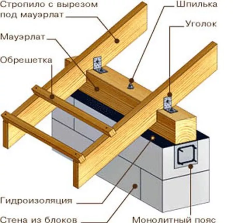 Мауэрлат хвойных пород - Ель 4