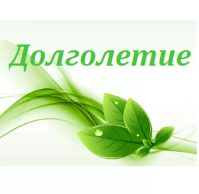 Рады сообщить Вам об открытии нового Интернет магазина Dolgoletie