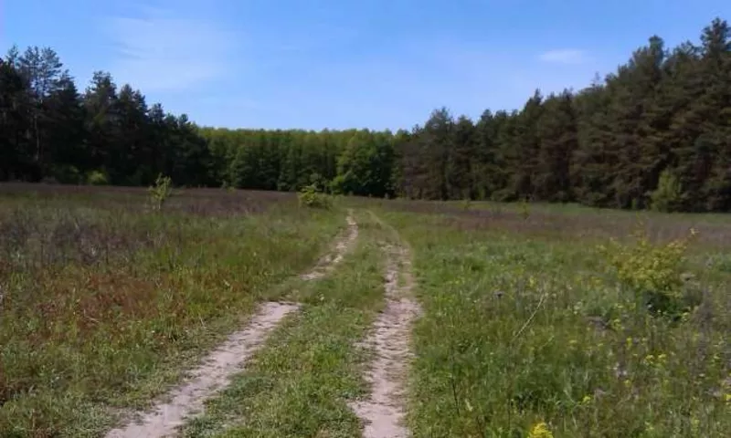 Срочно продам сплошной участок земли размером 8 га. 30 км от Киева
