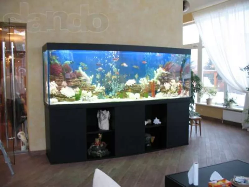 Обслуживание аквариумов Киев и Область 3
