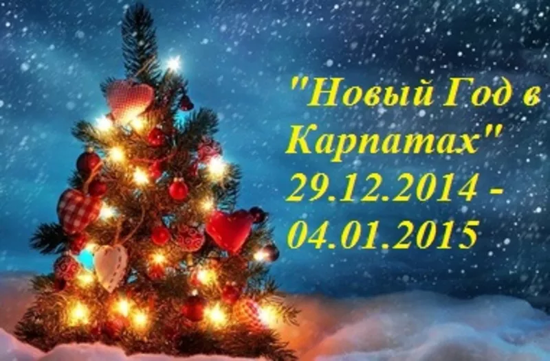 Новый год 2015 в Карпатах