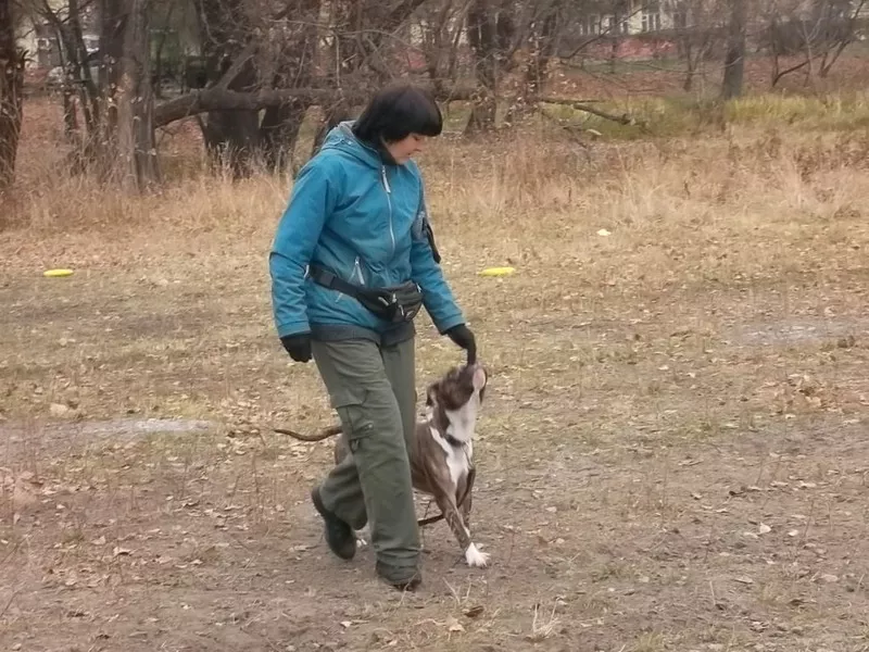 Дрессировочная Площадка 