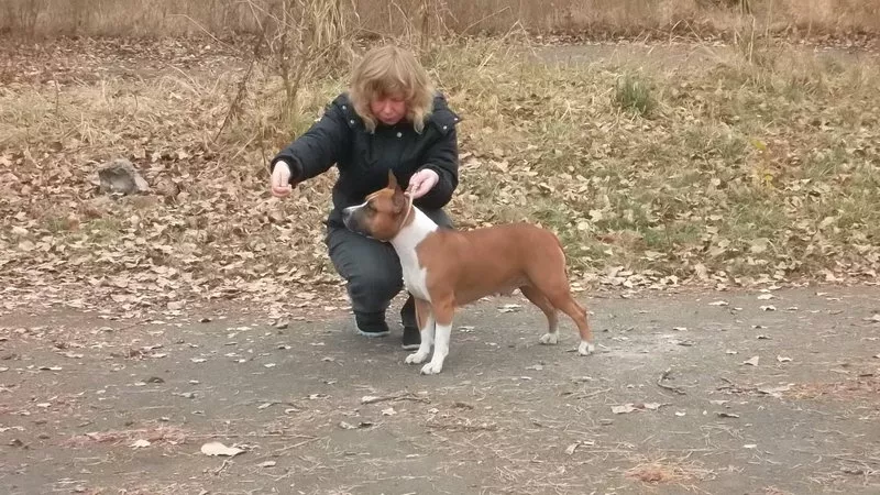 Дрессировочная Площадка 