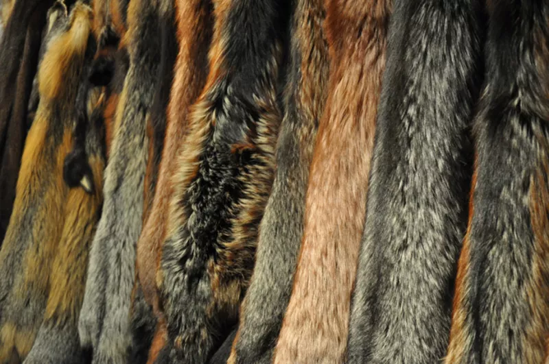 Международная выставка меха FUR EXPO UKRAINE'2015 4