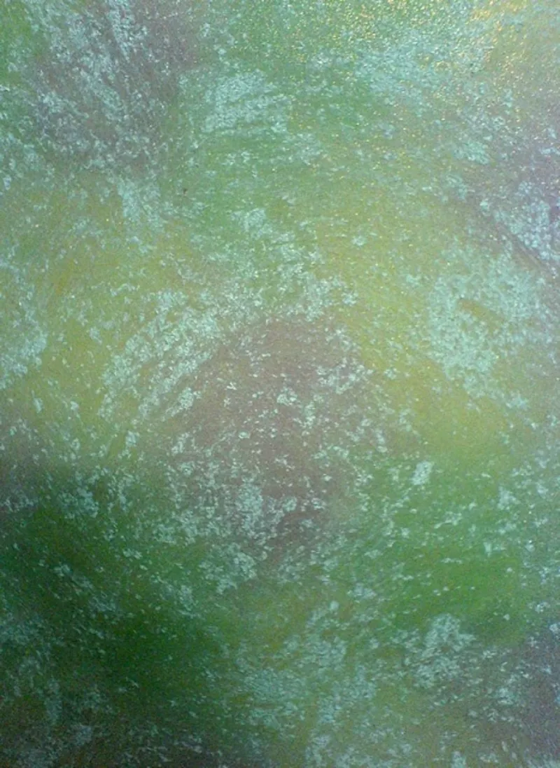 Декоративная штукатурка,  шпаклевка,  покраска,  утепление фасадов