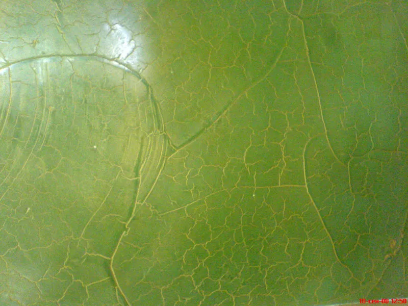 Декоративная штукатурка,  шпаклевка,  покраска,  утепление фасадов 3