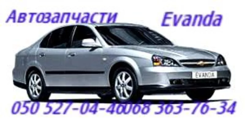 Амортизатор Шевроле Эпика Эванда,  Chevrolet Epica Evanda  3