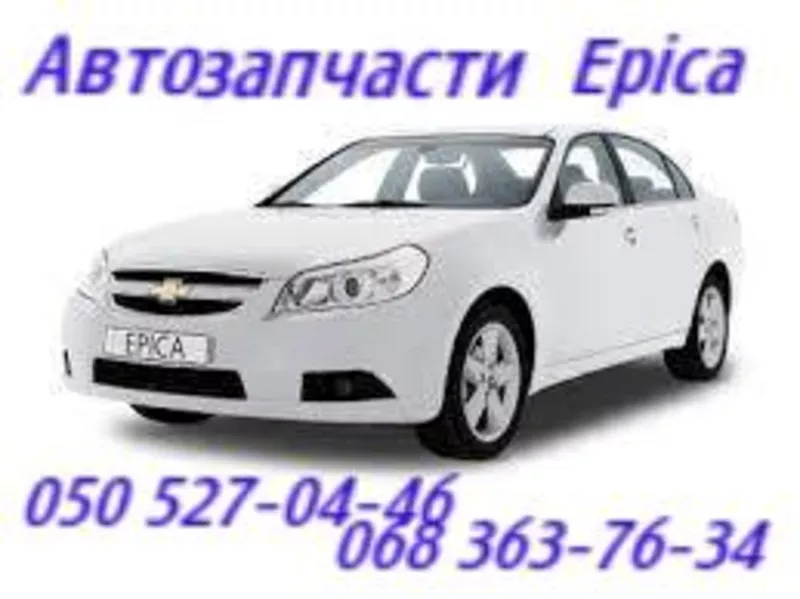 Амортизатор Шевроле Эпика Эванда,  Chevrolet Epica Evanda  4