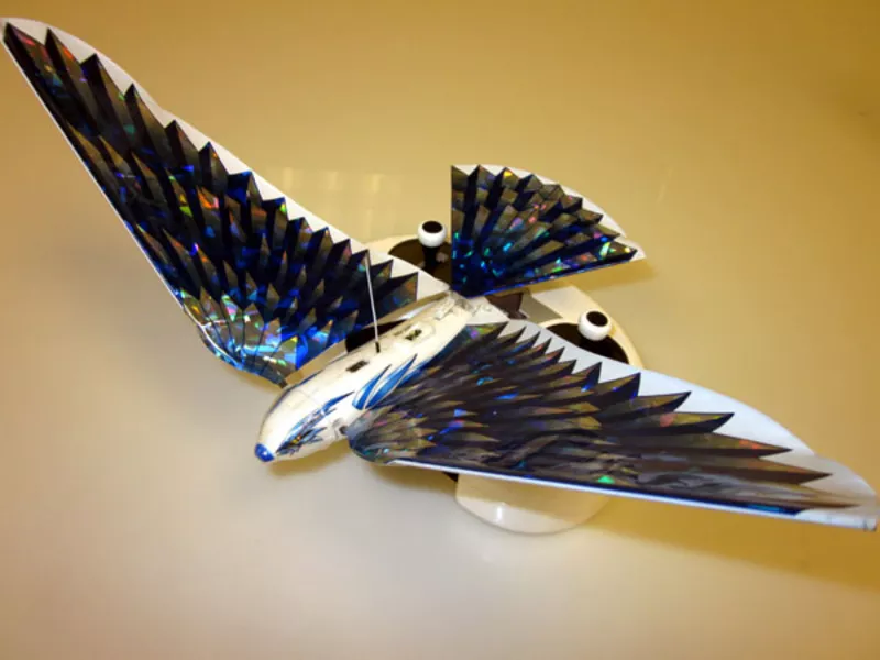 Летающая птица на радиоуправлении Flying Avitron Bionic Bird  2