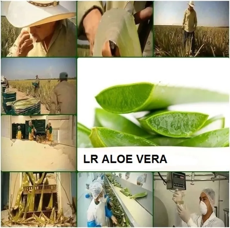 Нежный крем. Набор тестеров 10 шт. Aloe Vera Бесплатная доставка и про