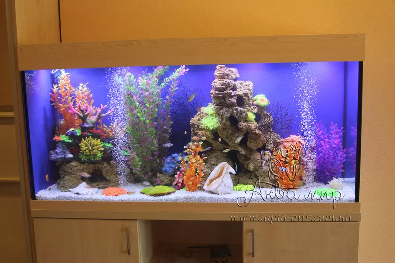 Изготовление аквариумов и террариумов из стекла по Вашим размерам 3