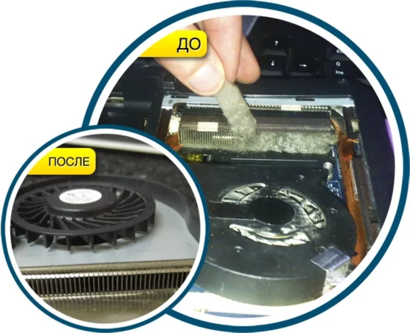 Проводим ремонт и чистку ноутбуков в Киеве.