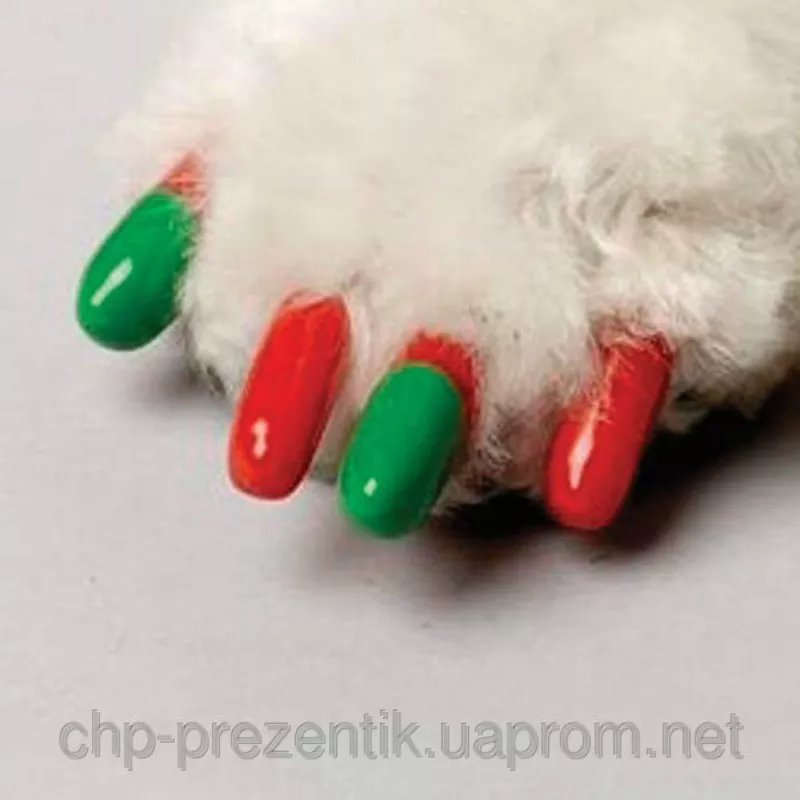 Антицарапки /накладки на ногти для животных 3