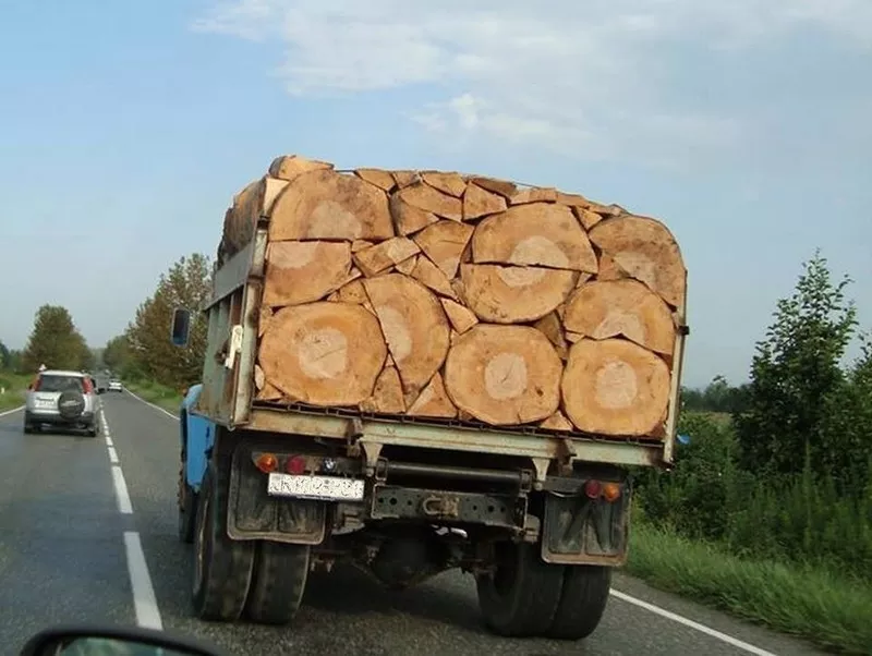 Дрова колотые дуб,  акация,  береза,  сосна,  тополь с доставкой