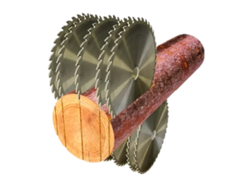 Станок брусовочный дисковый двухвальный SkyLine SD-400 3