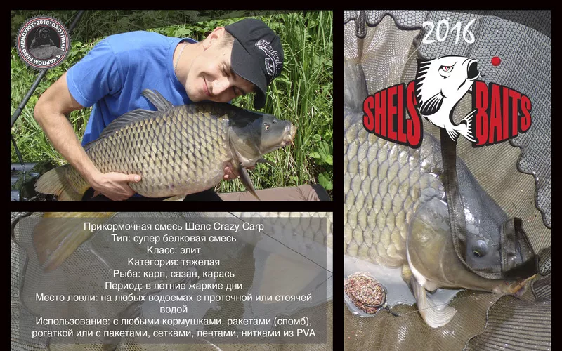 Прикормка Шелс Crazy Carp 3