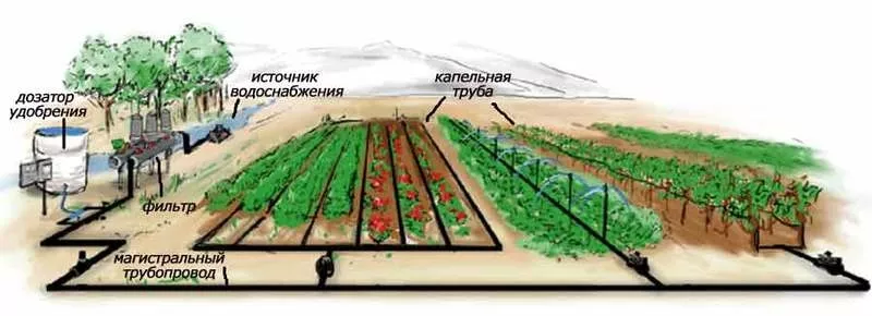 Ландшафт полив фонтаны 9