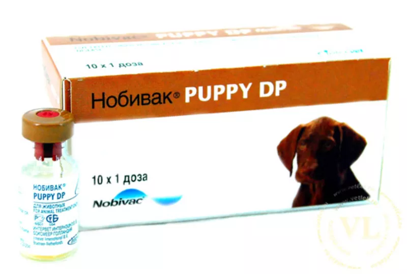 Нобивак Puppy DP,  1 фл. (1 доза) + растворитель 1 фл.